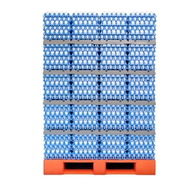 Egg Transport System