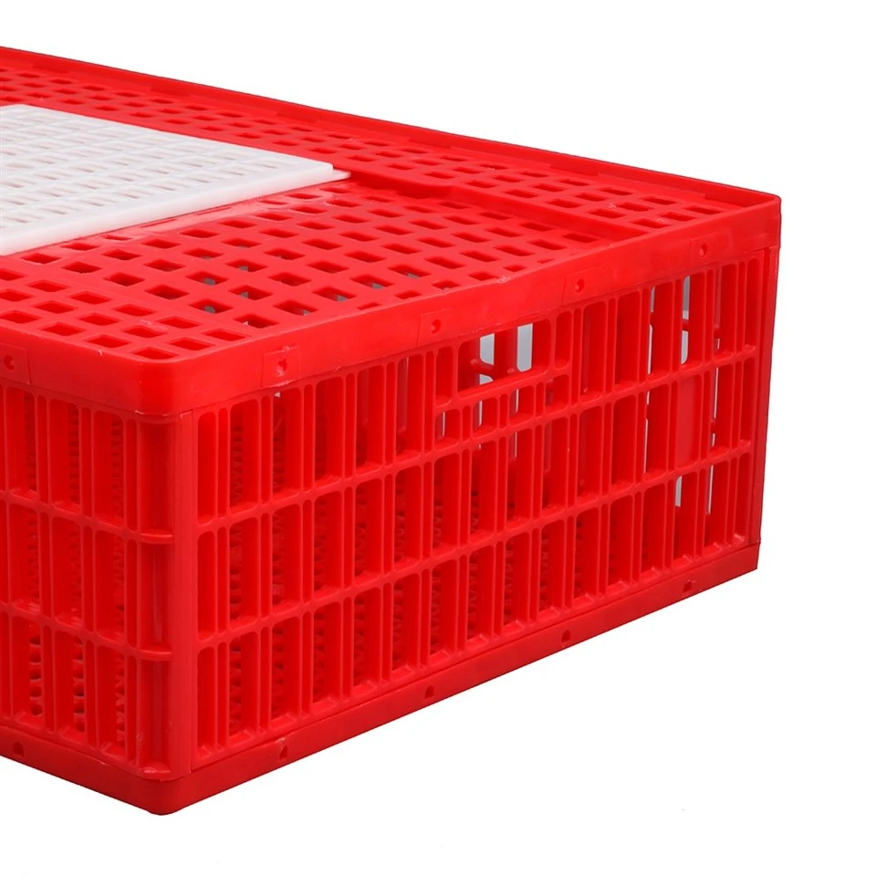 Plastic Transport Crate For Live Poultry
