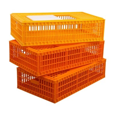 Plastična kutija za transport piletine